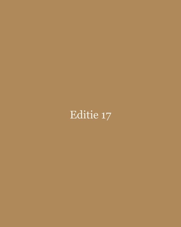 Cover editie 17