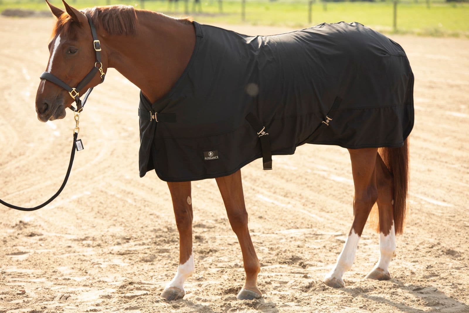 Soft shell deken