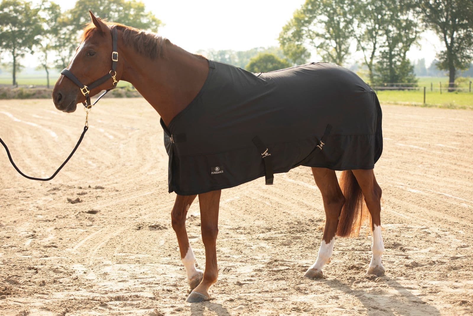 Soft shell deken