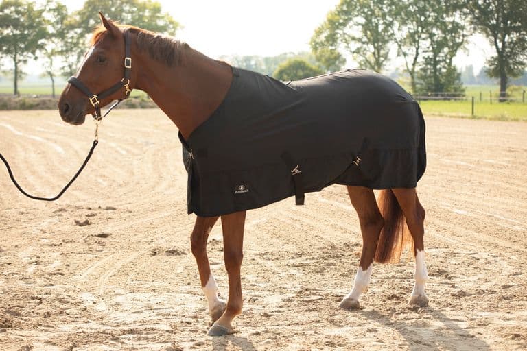 Soft shell deken